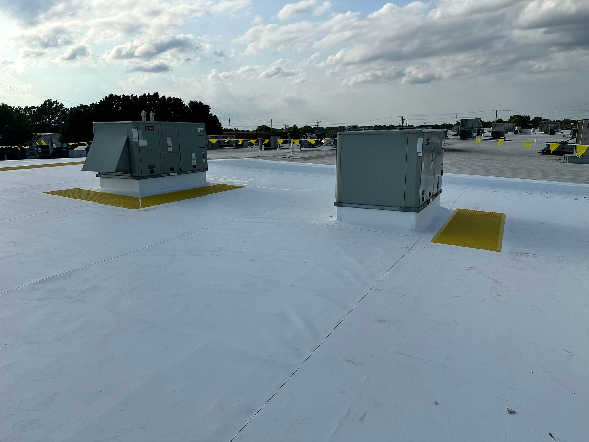 PVC (Polyvinyl Chloride)